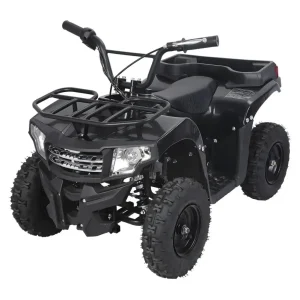 2-Stroke 49CC Kids Ride On Truck